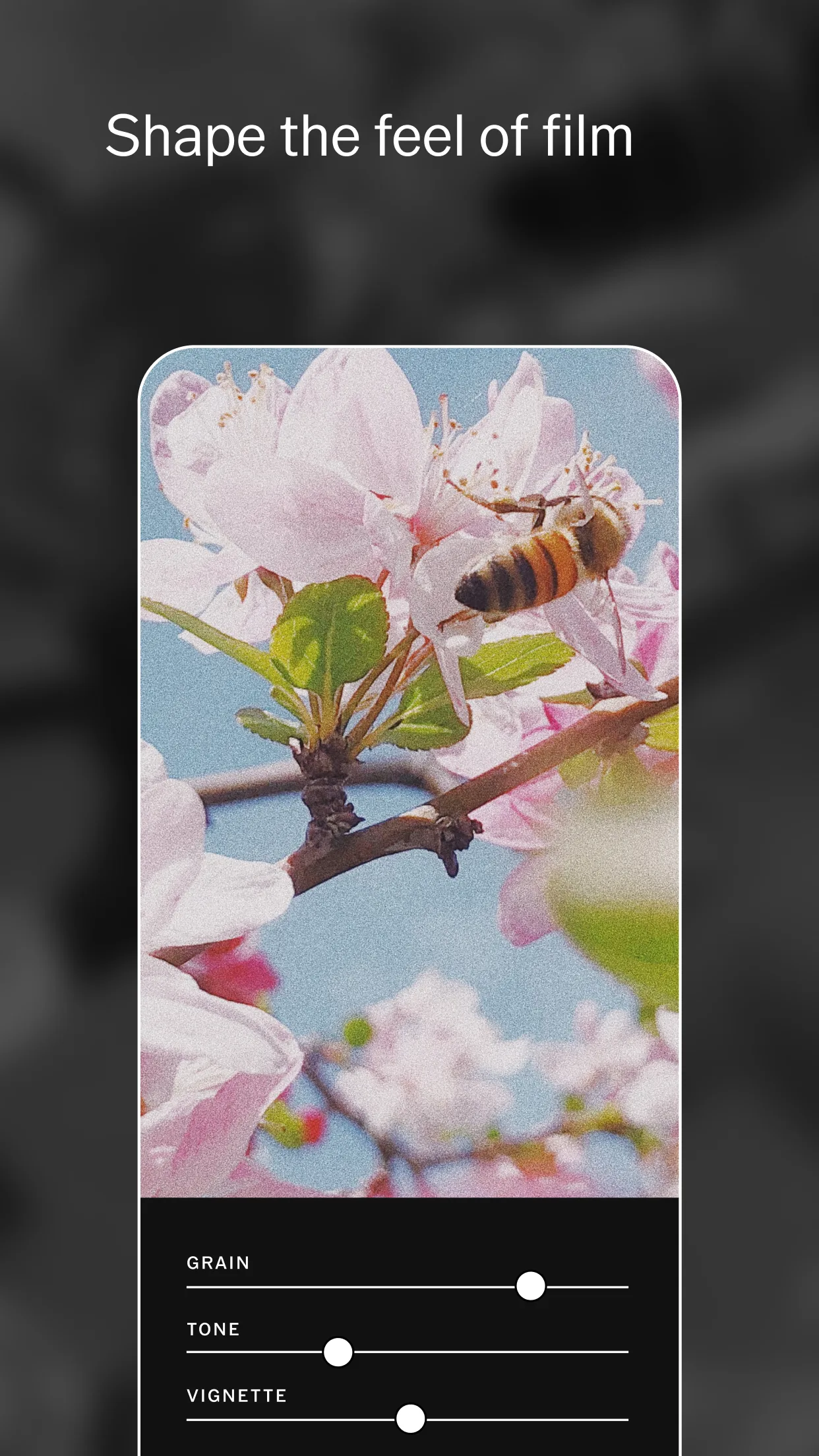 VSCO Play Store screenshot 5